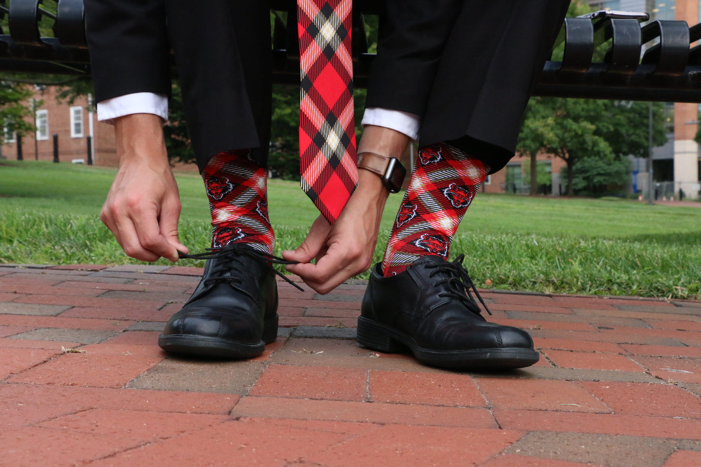 Arkansas State Socks