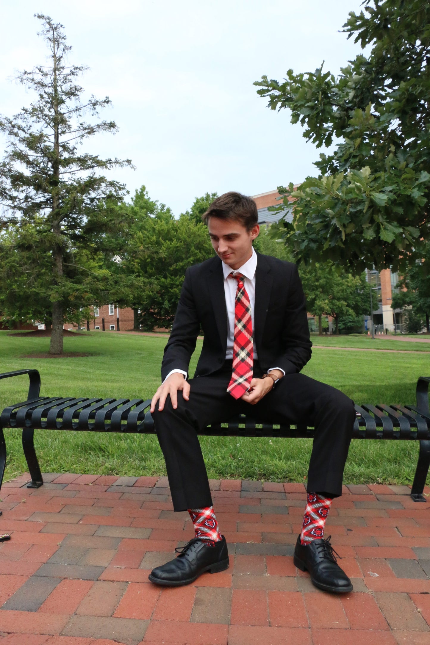 Arkansas State Socks