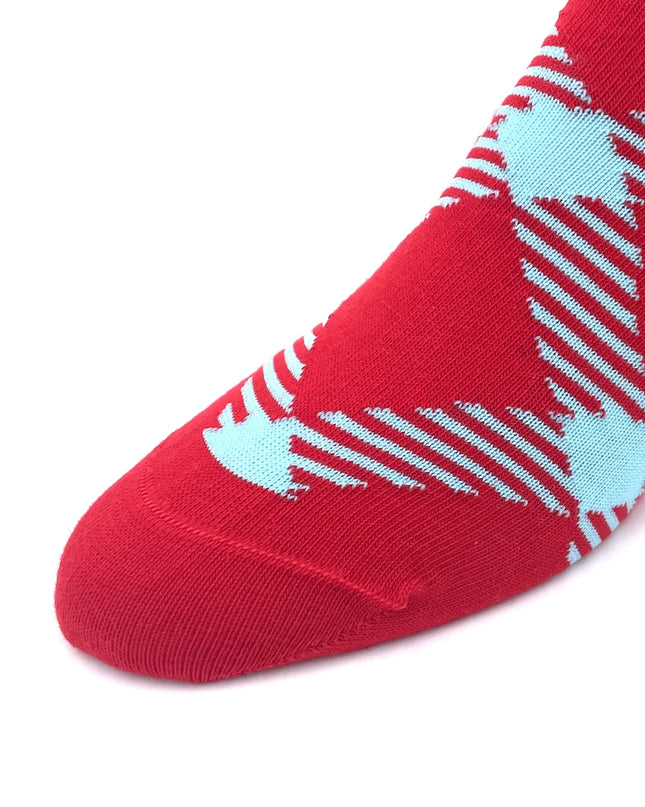 Delaware State Socks