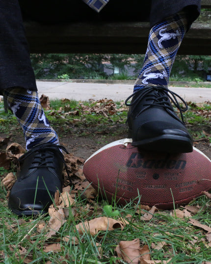Akron Socks