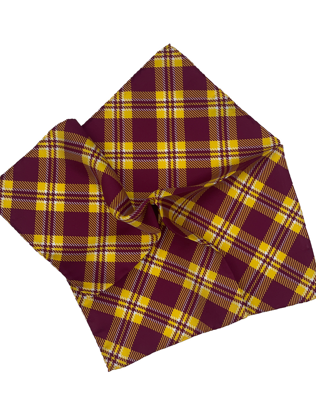 Arizona State Pocket Square
