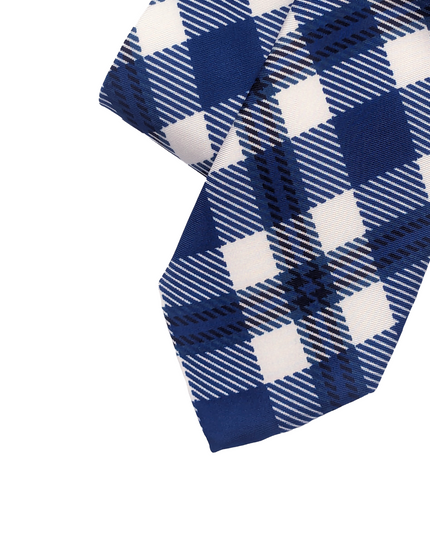 Brandeis Tie
