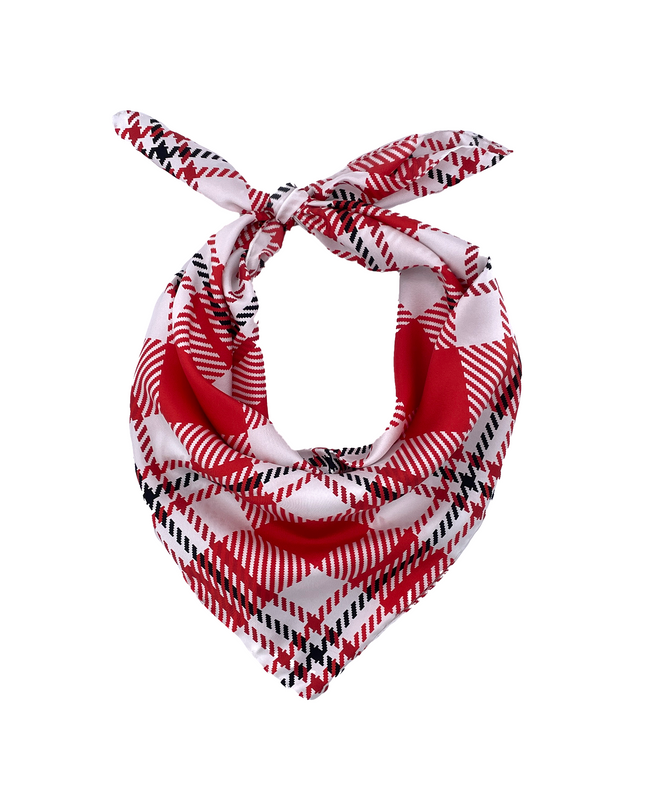 Boston University Handkerchief Scarf