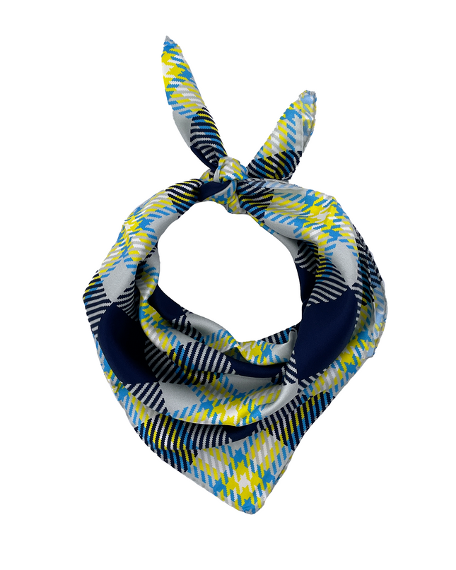 Butler Handkerchief Scarf