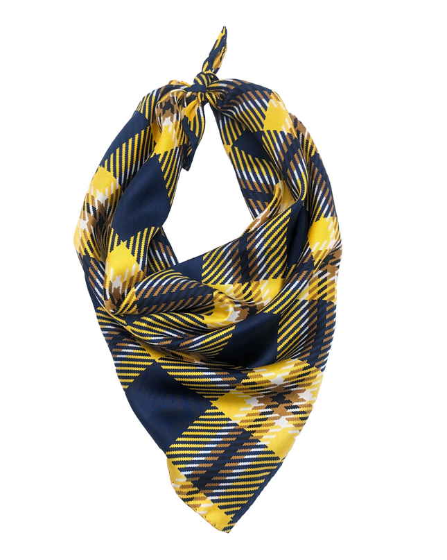 Cal Handkerchief Scarf