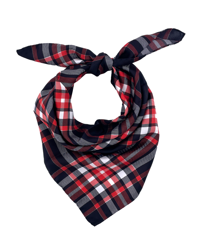 Cincinnati Handkerchief Scarf