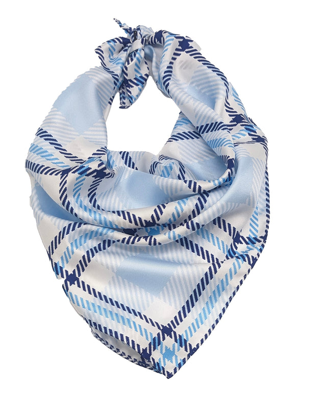 Columbia Handkerchief Scarf
