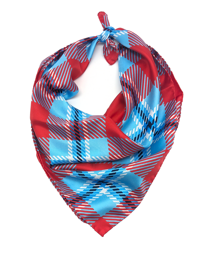 Delaware State Handkerchief Scarf
