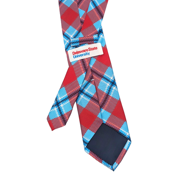Delaware State Tie