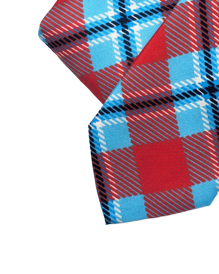 Delaware State Tie