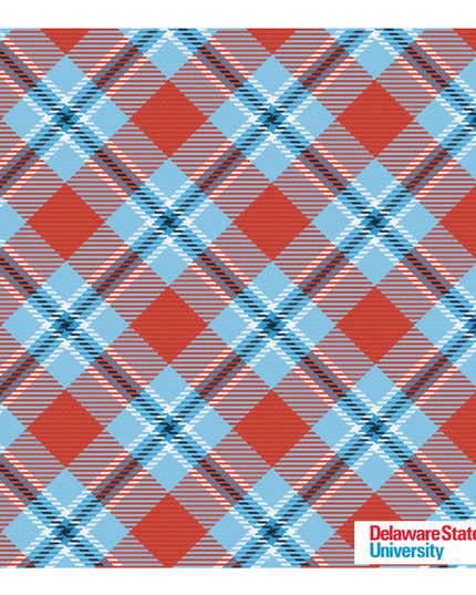 Delaware State Pocket Square