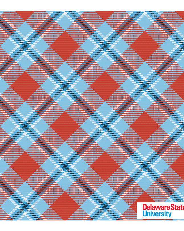 Delaware State Pocket Square