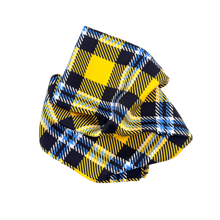 Framingham State Handkerchief Scarf
