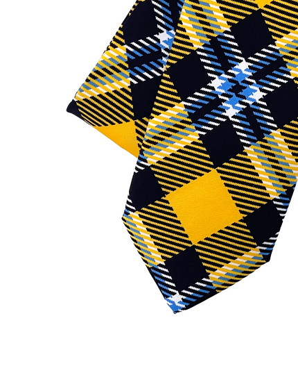 Framingham State Tie