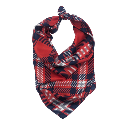 Fresno State Handkerchief Scarf