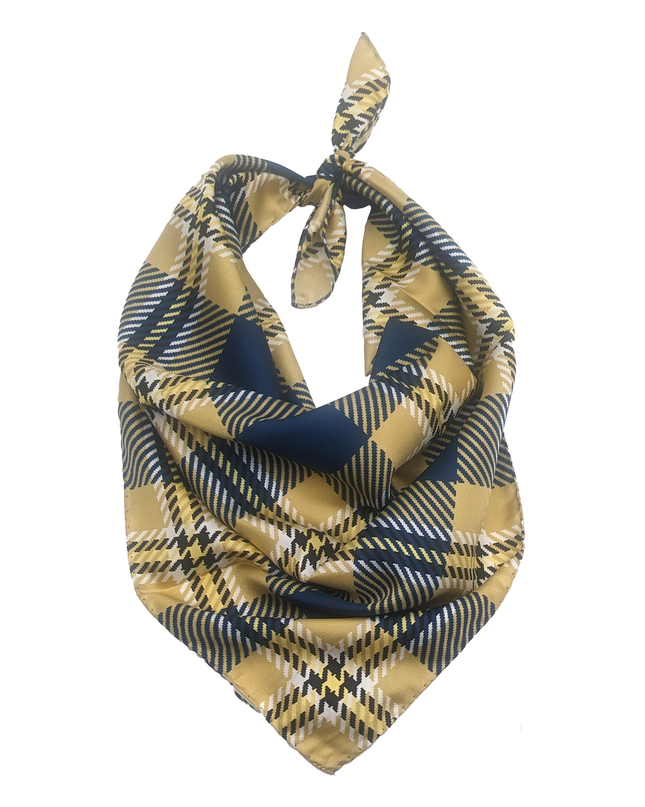 George Washington Handkerchief Scarf