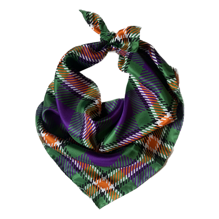 Hobart and William Smith Handkerchief Scarf