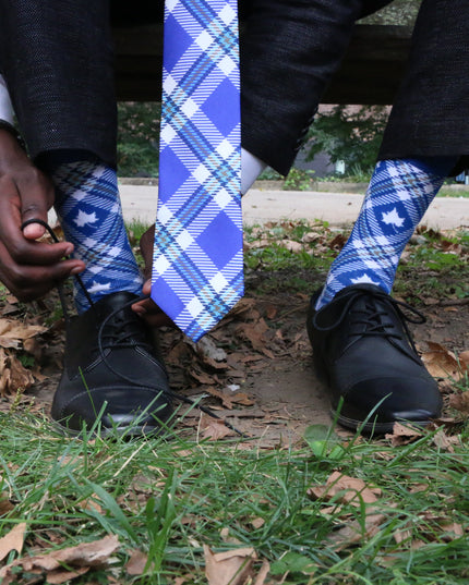 Indiana State Tie