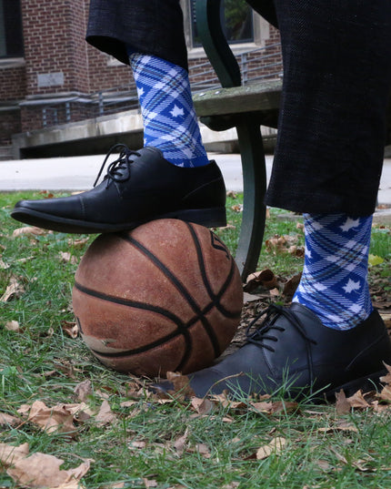 Indiana State Socks