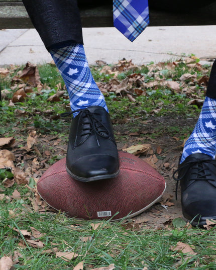 Indiana State Socks