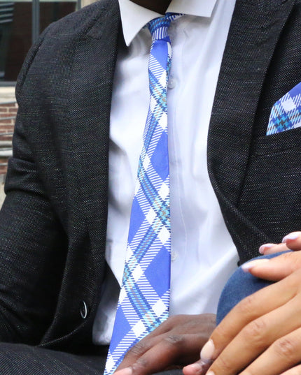 Indiana State Tie