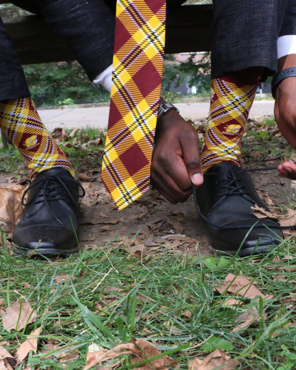 Central Michigan Tie