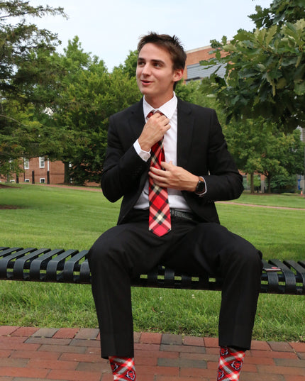 Arkansas State Tie