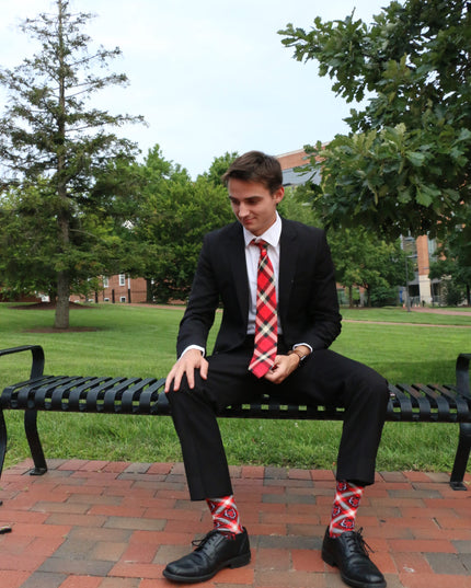 Arkansas State Socks