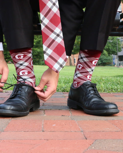 UA Little Rock Socks