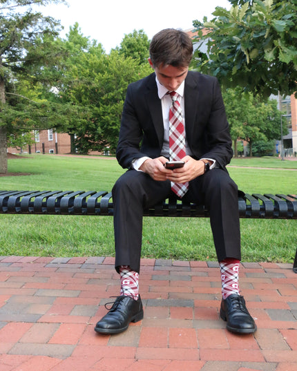 UA Little Rock Socks