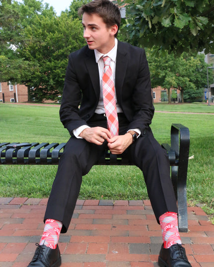 UNLV Socks