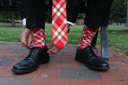 Houston Socks
