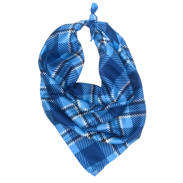 Johns Hopkins Handkerchief Scarf