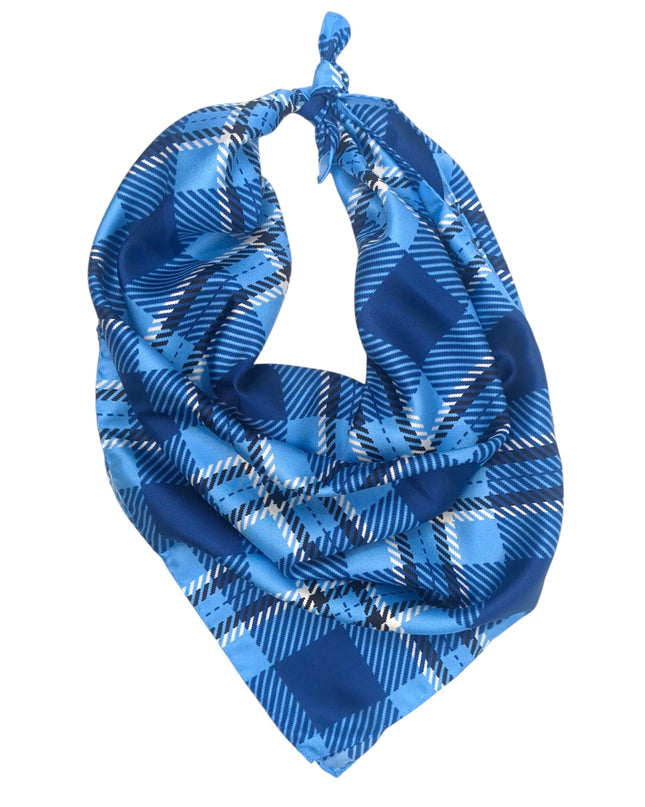 Johns Hopkins Handkerchief Scarf