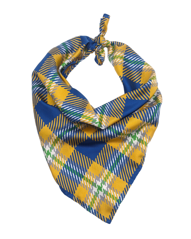 Johnson & Wales Handkerchief Scarf