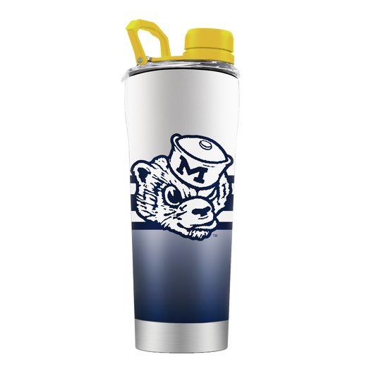 Michigan College Vault Stainless Steel Shaker