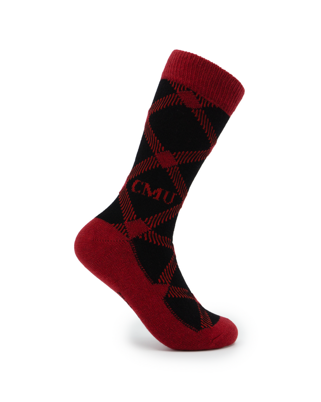 Carnegie Mellon Socks