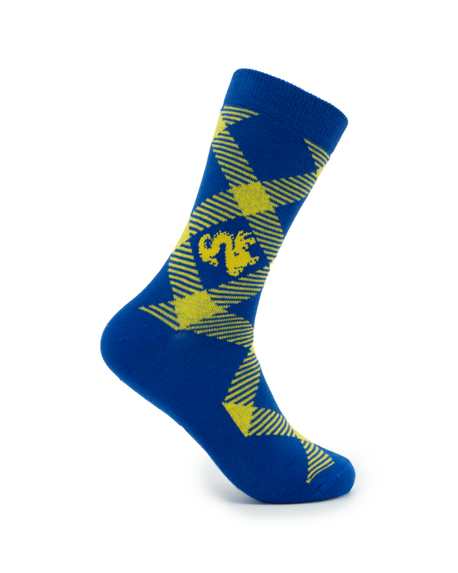 Drexel Socks