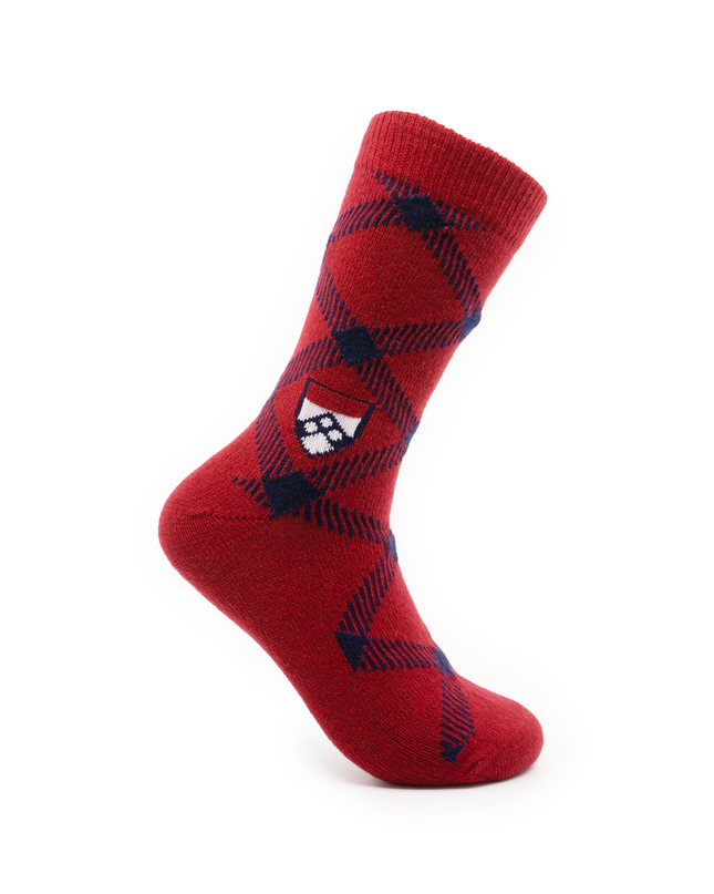Penn Wharton Socks
