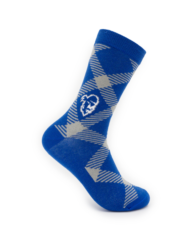 Seton Hall Socks