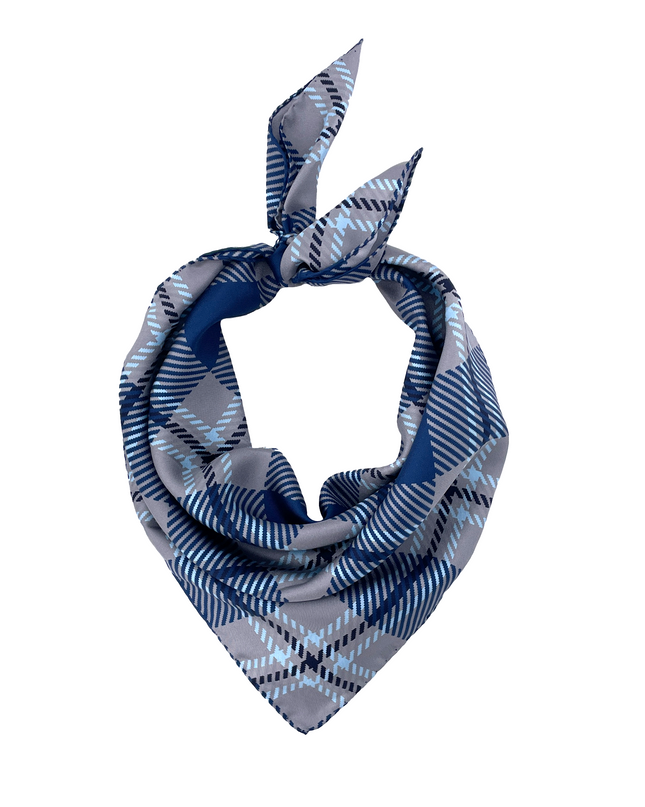 Old Dominion Handkerchief Scarf