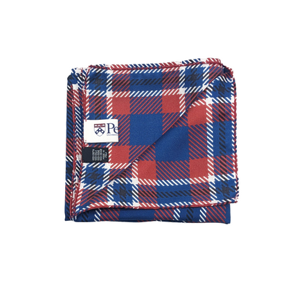 Penn Handkerchief Scarf