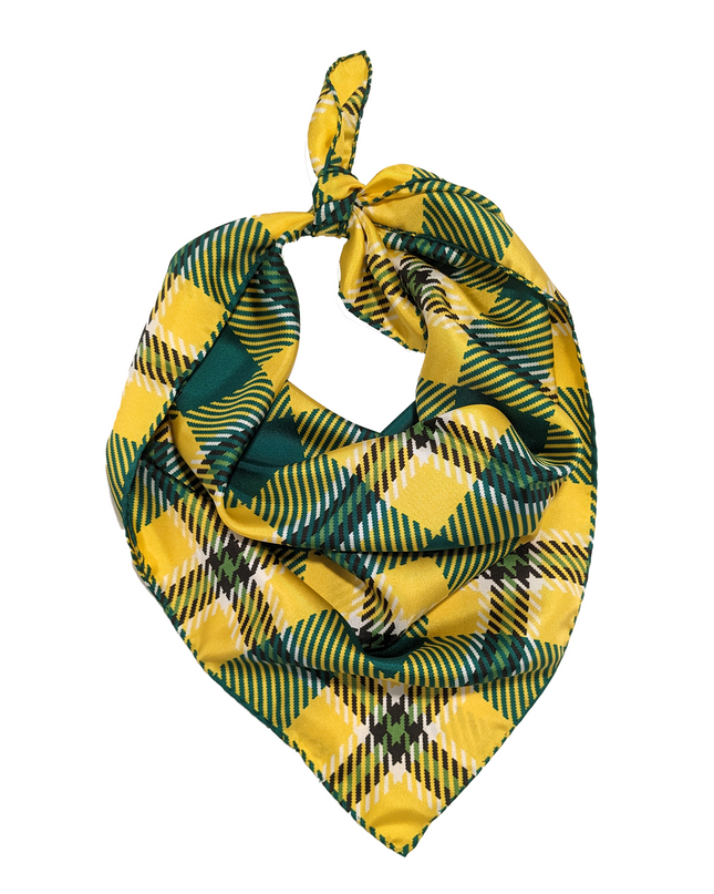 SUNY Brockport Handkerchief Scarf