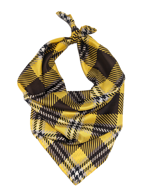 St. Bonaventure Handkerchief Scarf