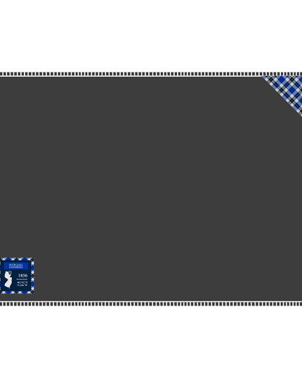 Seton Hall Applique Blanket