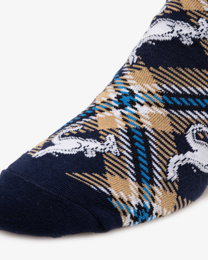 Akron Socks