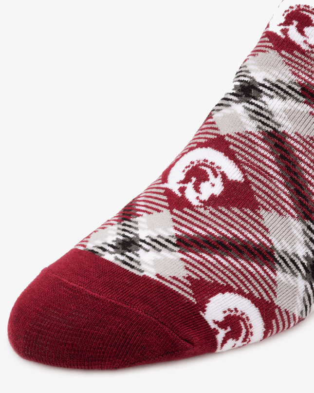 UA Little Rock Socks