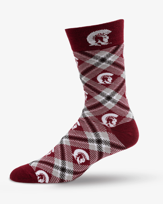 UA Little Rock Socks