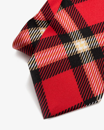 Arkansas State Tie