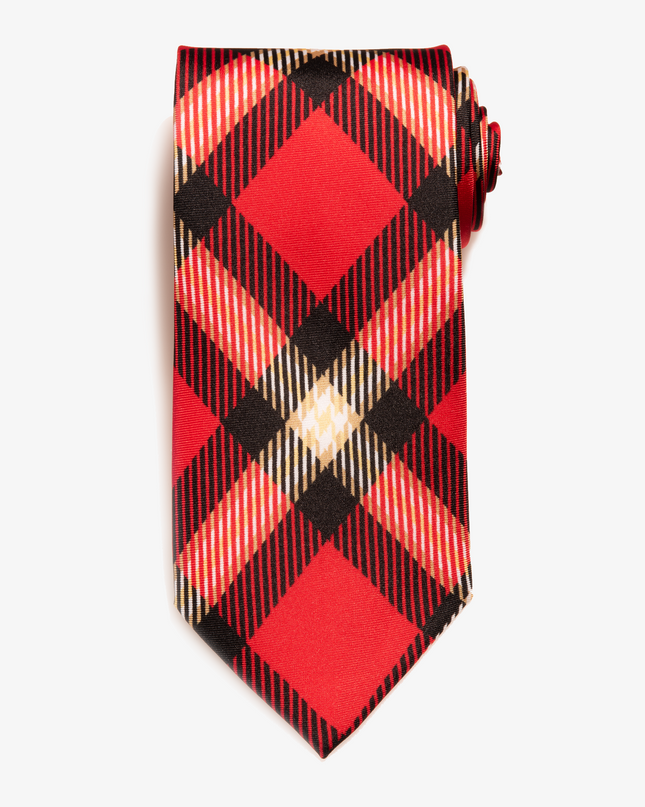 Arkansas State Tie